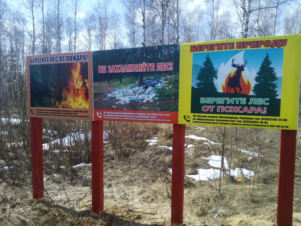 Пожарные аншлаги. Противопожарные аншлаги в лесу. Противопожарные аншлаги в лесах. Противопожарные стенды в лесу. Предупредительные аншлаги в лесу.